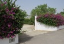 Dolores, Finca #CQ-SD-47199