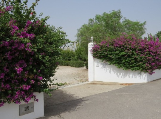 Dolores, Finca #CQ-SD-47199