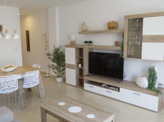 San Miguel de Salinas, Apartment #CQ-SD-15501