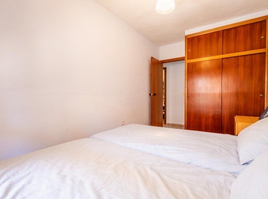 Torrevieja (Playa De Los Náufragos), Apartment #CQ-TS-39727
