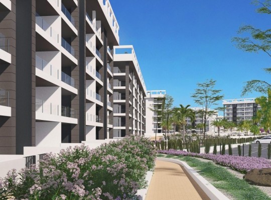 Torrevieja (Torreblanca), Apartment #CQ-00-75886