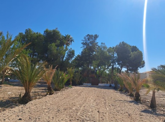 Orihuela, Townhouse #CQ-GL-36163