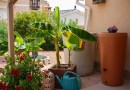 Ciudad Quesada (Town Center), Villa #CQ-062