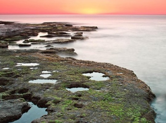 Torrevieja (Altos del Sol), Bungalow #RD-N8462