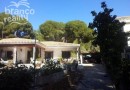 Campoamor, Villa #CQ-SO-32032