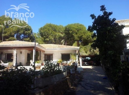 Campoamor, Villa #CQ-SO-32032