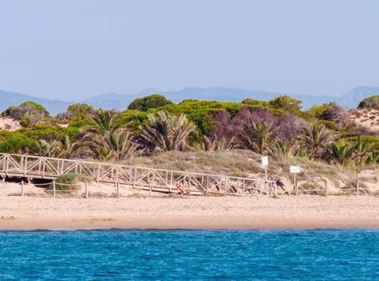 Guardamar del Segura (Pueblo), Apartment #RD-N9583