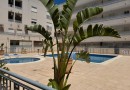 Almoradi, Apartment #CQ-TS-25786