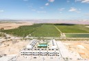 Torrevieja (Los Balcones), Bungalow #CQ-00-11845