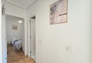 Torrevieja (El limonar), Apartment #CQ-SD-12703