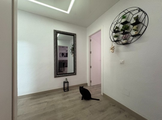 Torrevieja (Centro), Apartment #CQ-WN-51796