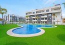 Orihuela Costa (Villamartin), Apartment #CQ-WN-24004