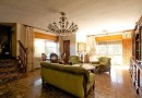 Orihuela Costa (Cabo roig - La Zenia), Villa #CQ-VK-28151