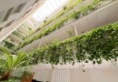 Apartmán ve výborné lokalitě, 200m od pláže Los Locos, Torrevieja