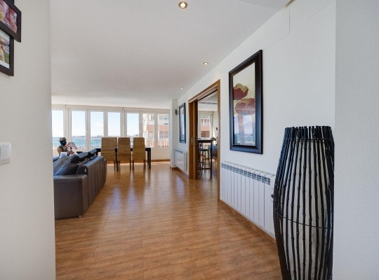 Torrevieja (Playa Acequion), Apartment #CQ-TS-36978