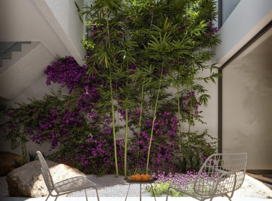 Alicante (Nou Nazareth), Apartment #CQ-00-79997