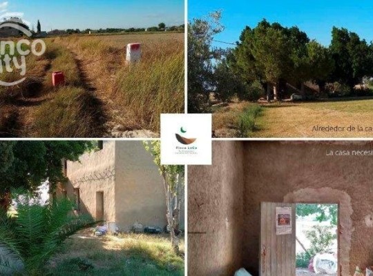 Callosa De Segura, Finca #CQ-SL-23062