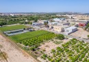 Formentera del Segura (Forementera del Segura), Plot #CQ-GS-60258