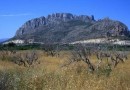 Other areas (El Verger), Apartment #CQ-00-21353