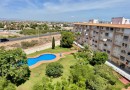 Torrevieja (Centro), Apartment #CQ-JM-16733