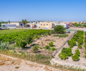 Formentera del Segura (Forementera del Segura), Plot #CQ-GS-60258