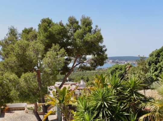 Costa d'en Blanes (Calvià), Villa #CQ-GL-61725
