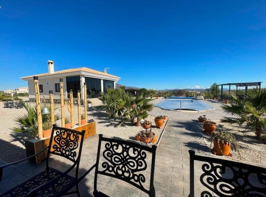 Pinoso (Camino Del Prado), Villa #RD-N7754