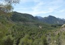Murcia, Semi Detached #CQ-BT-24021