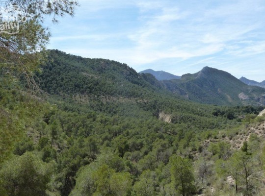 Murcia, Semi Detached #CQ-BT-24021