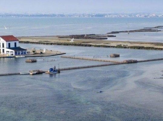 San Pedro del Pinatar (Pueblo), Apartment #RD-N8082