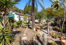 Orihuela Costa (Lomas de Cabo Roig), Villa #CQ-MY-49042