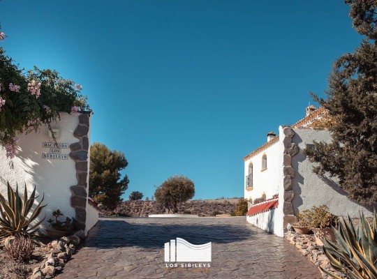 Other areas (Lorca), Finca #CQ-GL-15582