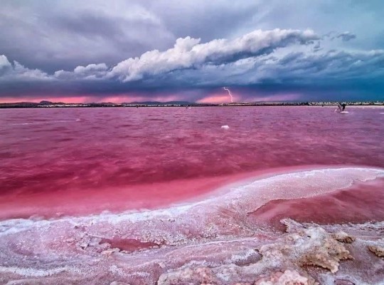 Torrevieja (Centro), Apartment #RD-N9142