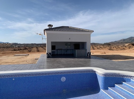 Pinoso (Camino Del Prado), Villa #RD-N7756