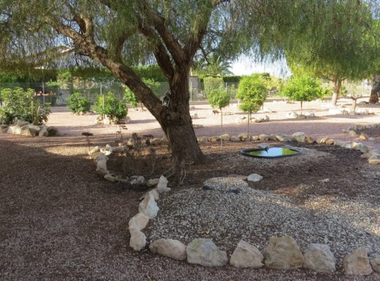 Daya Vieja, Finca #CQ-SD-85383