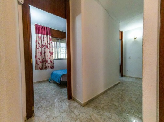 Torrevieja (Playa del Acequion), Apartment #CQ-TS-49373
