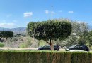 Přízemní apartmán se 2 ložnicemi ve městě Villajoyosa, Costa Blanca Sever.