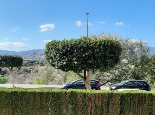 Přízemní apartmán se 2 ložnicemi ve městě Villajoyosa, Costa Blanca Sever.