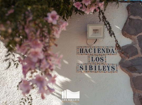 Other areas (Lorca), Finca #CQ-GL-15582