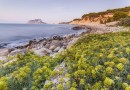 Other areas (Cala Advocat), Villa #CQ-00-62696