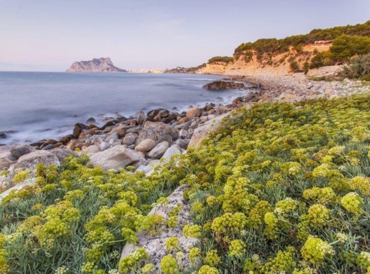 Other areas (Cala Advocat), Villa #CQ-00-62696