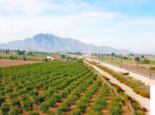 Callosa De Segura, Finca #CQ-SL-23062