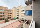 Apartmán ve výborné lokalitě, 200m od pláže Los Locos, Torrevieja