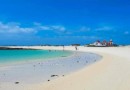 Nové luxusní apartmány v 1. linii u pláže, Corralejo, Fuerteventura