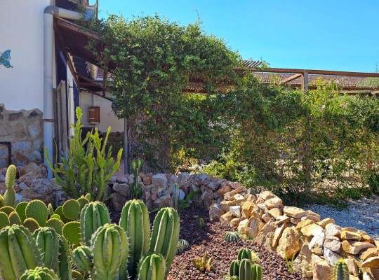 Crevillente, Finca #CQ-CB-28690