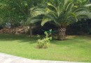 BEAUTIFUL RUSTIC FINCA WITH VACATIONAL LICENSE