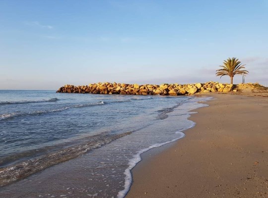 Santa Pola (Playa Tamarit), Apartment #CQ-00-16930