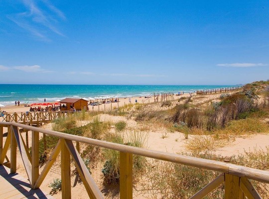 Guardamar del Segura (Pueblo), Penthouse #RD-N9586