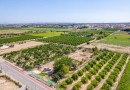 Formentera del Segura (Forementera del Segura), Plot #CQ-GS-60258