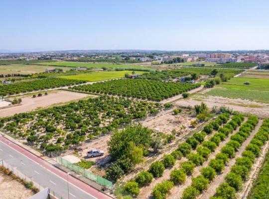 Formentera del Segura (Forementera del Segura), Plot #CQ-GS-60258